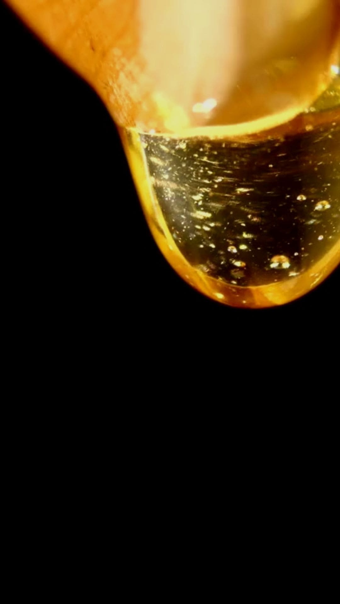 01 Golden Nectar